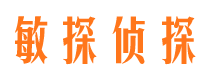 成华调查公司